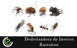 Dedetizadora de Insetos rasteiros