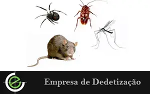 Empresa de Dedetização